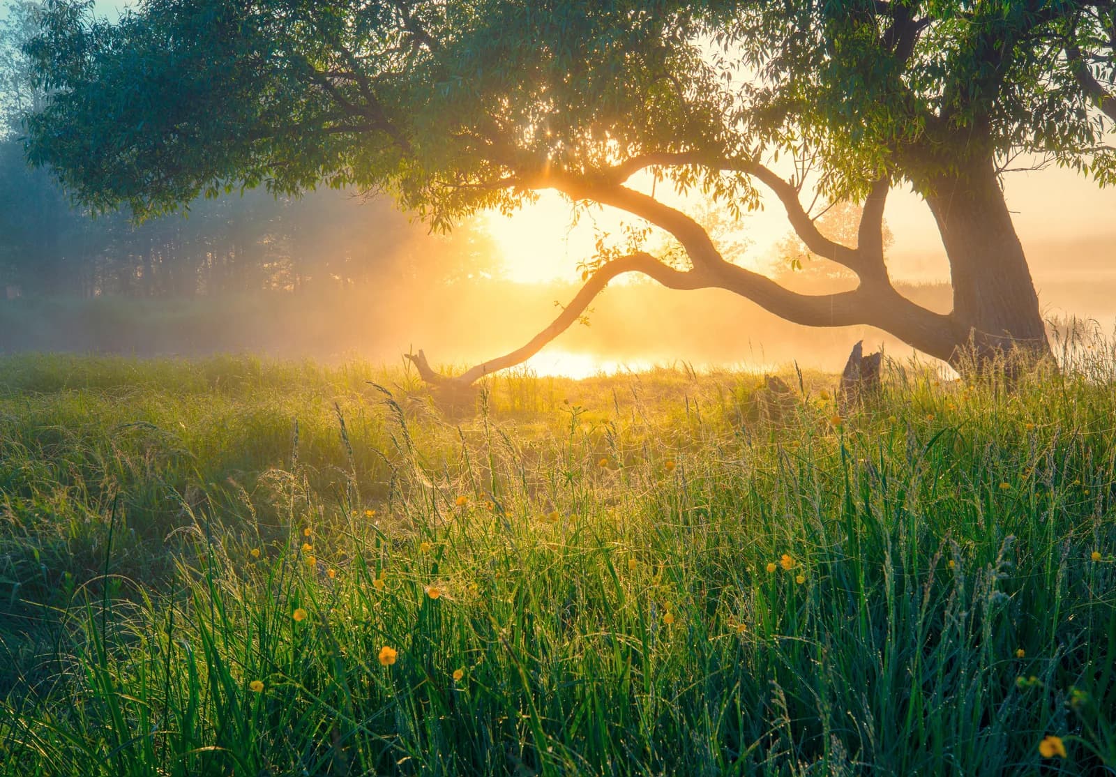 Natural Burial