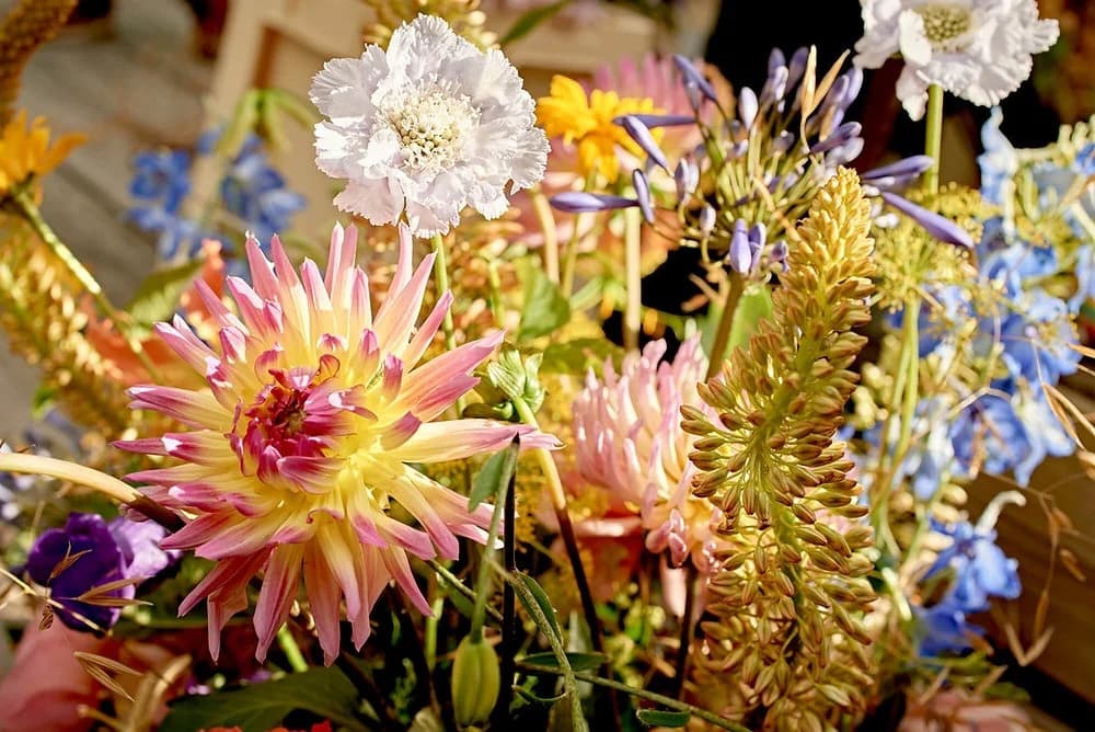 Flowers background